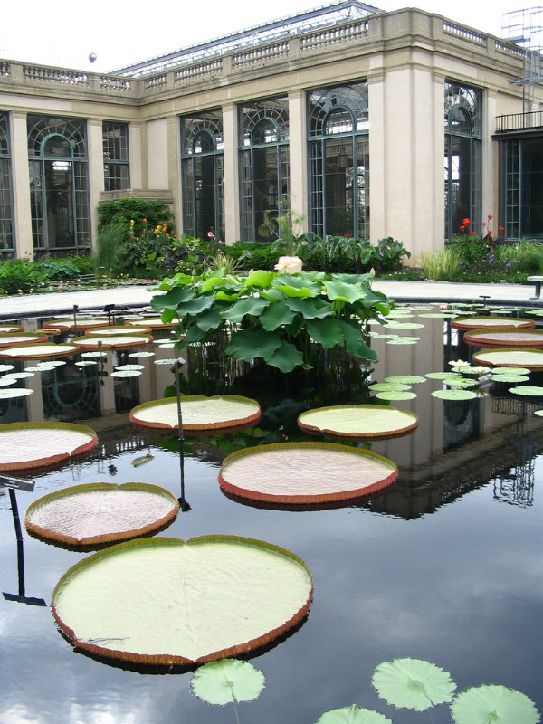美國最美的私家花園——長木花園