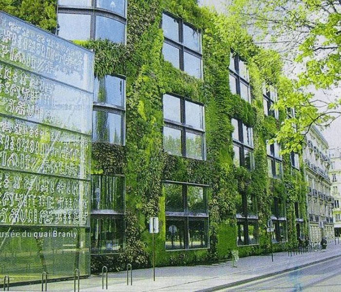 吹響“垂直綠化”集結號 打造城市綠色外衣