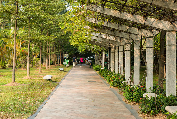 【庭院元素】花園廊架——春開花顏，夏落涼蔭