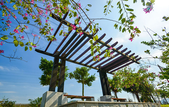 【庭院元素】花園廊架——春開花顏，夏落涼蔭