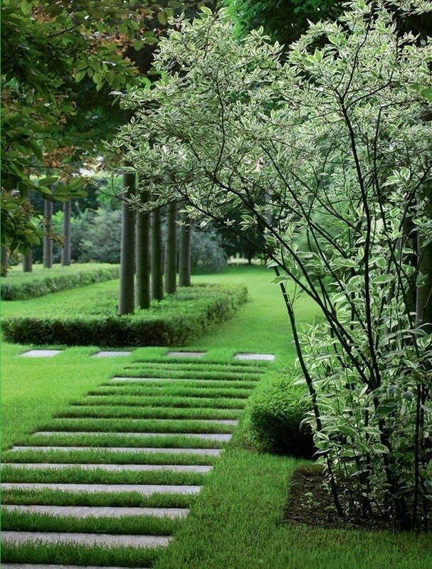 花園小徑，帶你探索花園里的一步一景