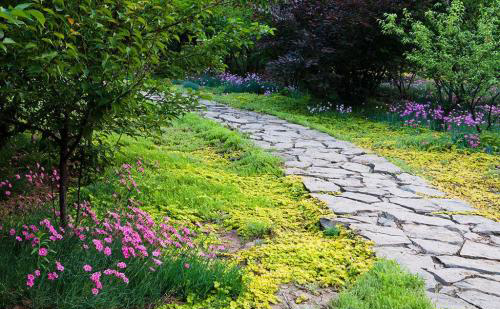 花園小徑，帶你探索花園里的一步一景