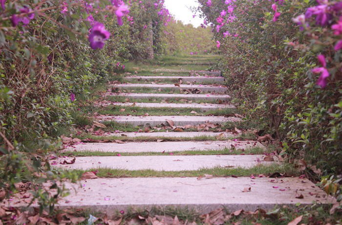 花園小徑，帶你探索花園里的一步一景
